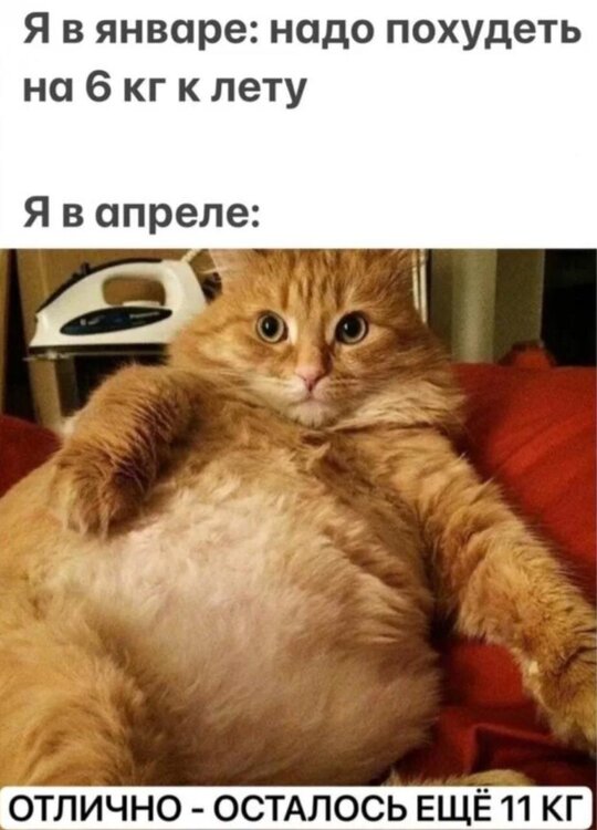 6XKAZZtBwCFJjb7Eg7molWjgZhblypLPYpKO6aOPD75-GMMijbd6EPZBH2prGBPhAE7K2mVSYETV3JYmF82jV7H-.jpg