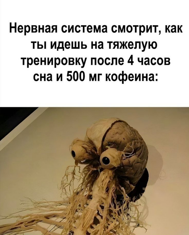 rijvksoc_lg.png